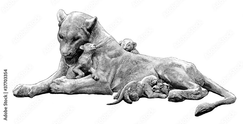 Fototapeta premium Lions Family