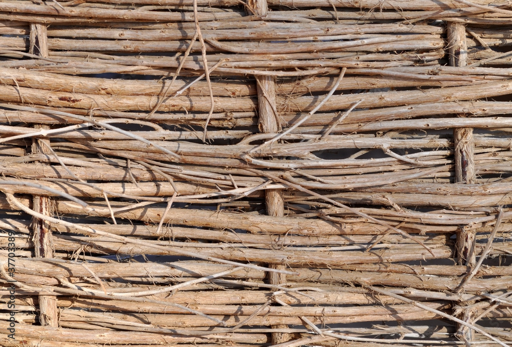 branches brown background branches brown background