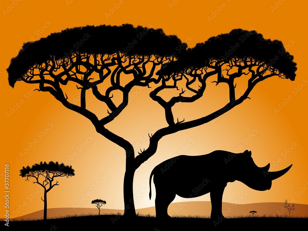Savannah, the silhouette of the trees and the rhinoceros.