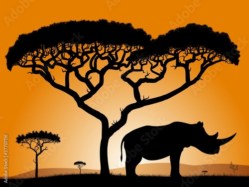 Savannah, the silhouette of the trees and the rhinoceros.