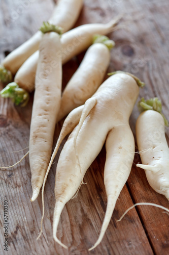 Daikon radish on the wood background photo