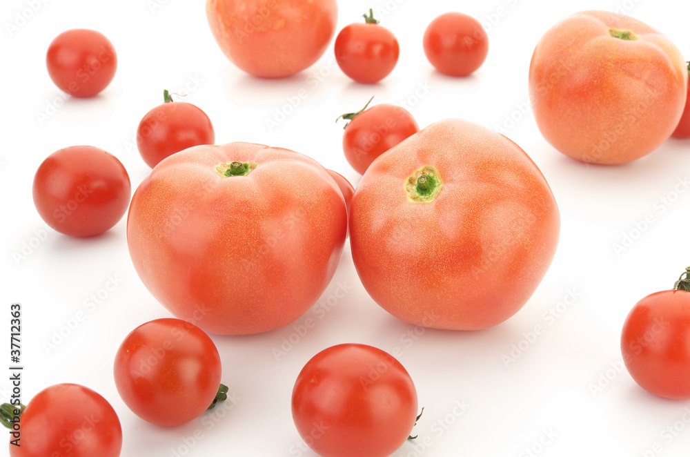 Tomatoes on white background Tomatoes on white background