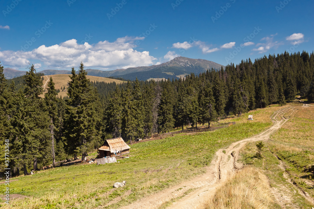 Summer landscape in the mountains