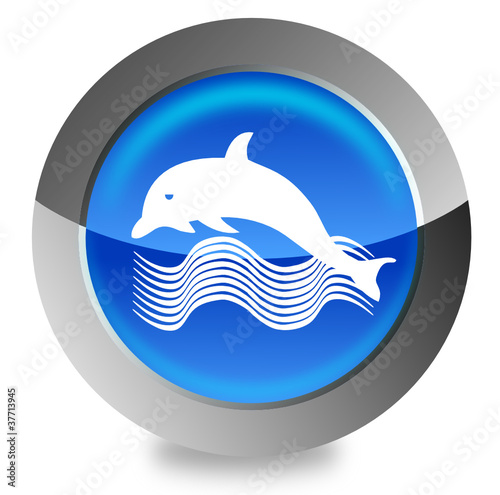Dolphins button