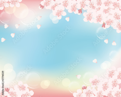cherry blossom background
