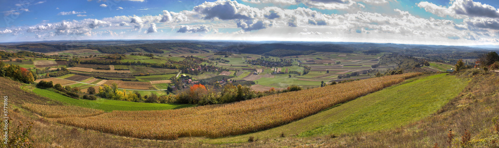 Green valley and golden fields,  landscape panorama