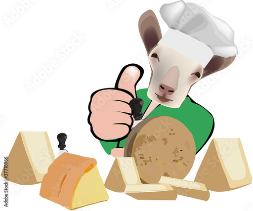 formaggio pecorino
