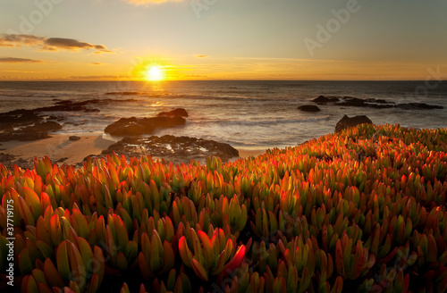 Dramatic California Sunset photo