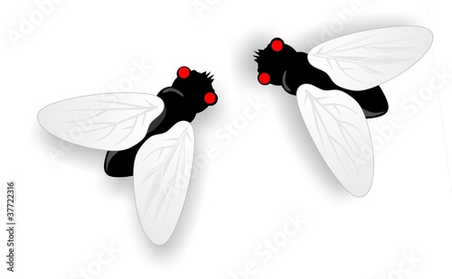 Fliegen2