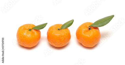 Mandarin with leaves on white
