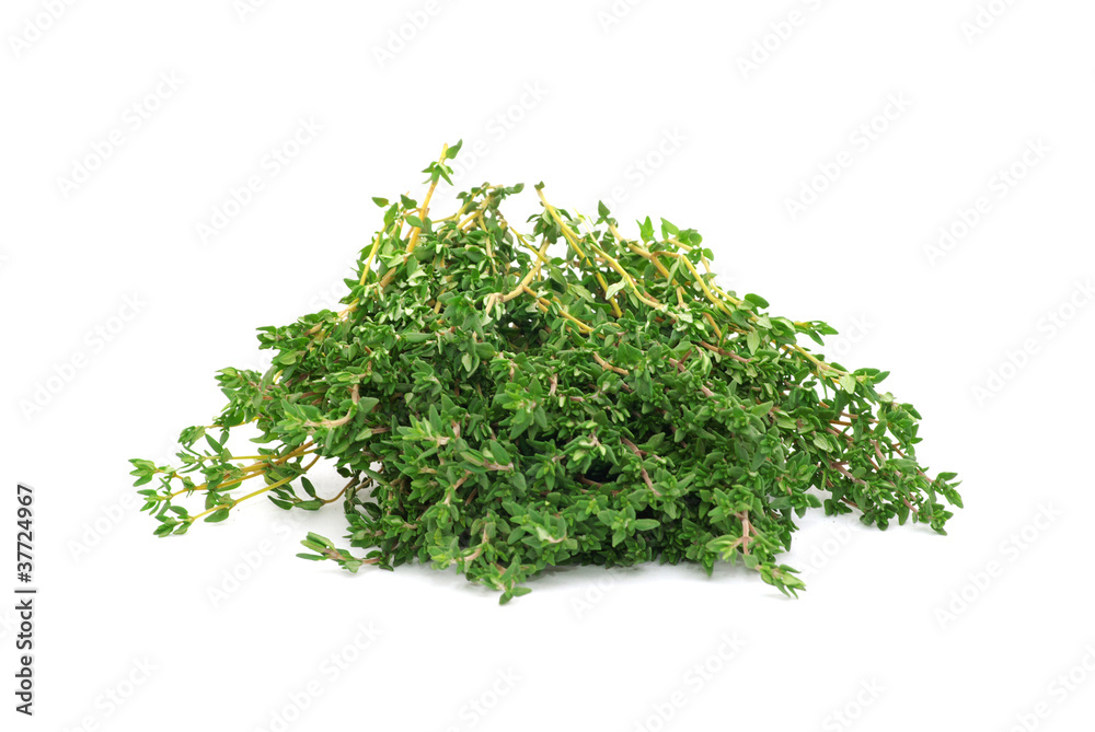 thyme thyme