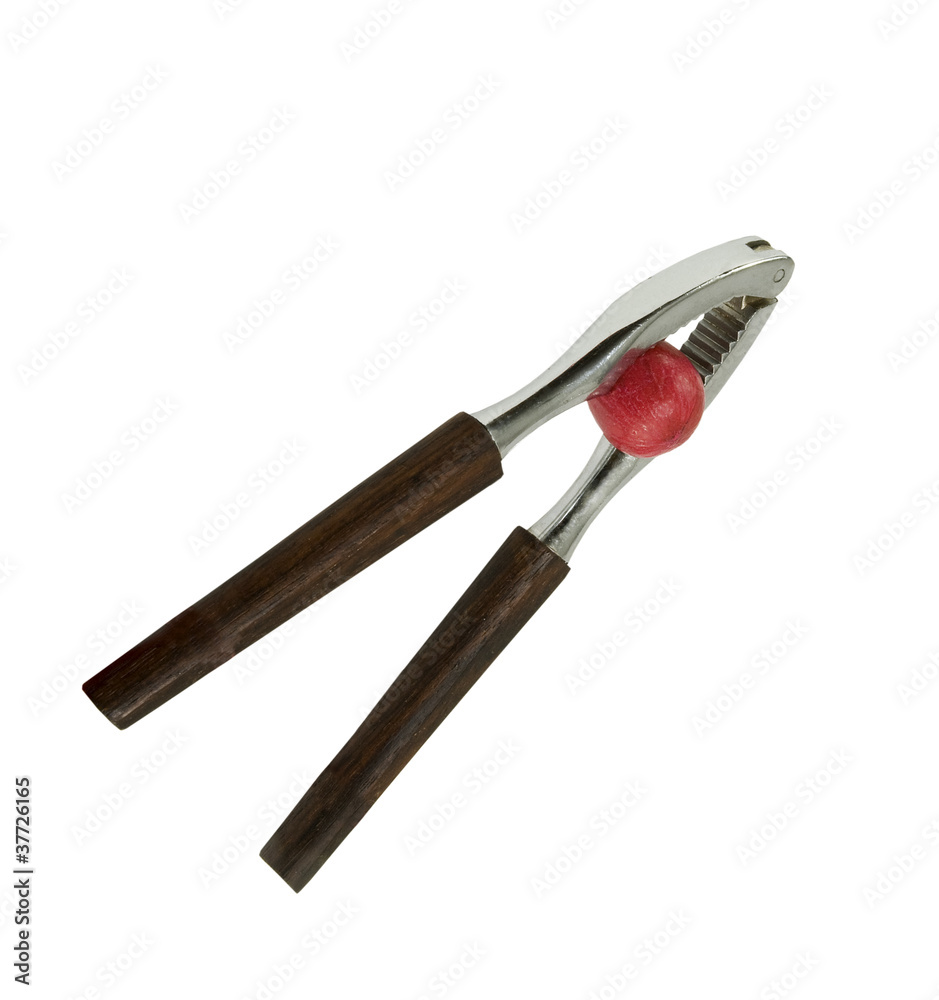 nutcracker holding a pecan on a white background nutcracker holding a pecan on a white background