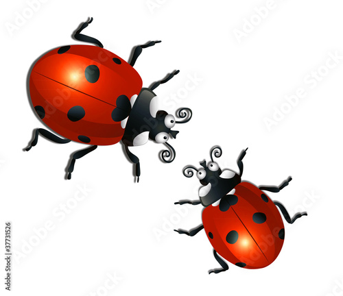 ladybirds on whight background © tets