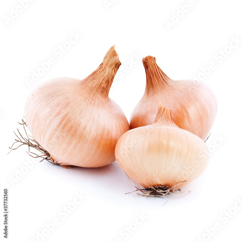 Wallpaper Mural onion Torontodigital.ca