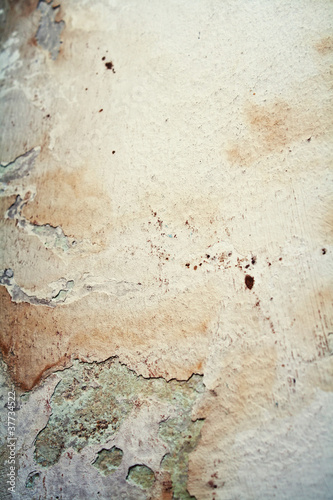 Old moldy grunge stained paper on wall