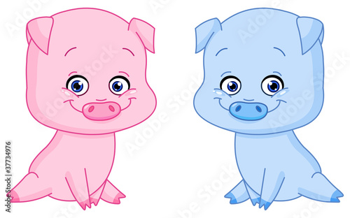 Baby pigs
