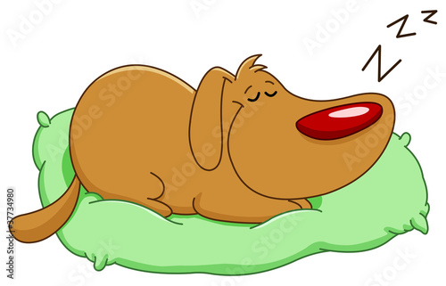 Sleeping dog