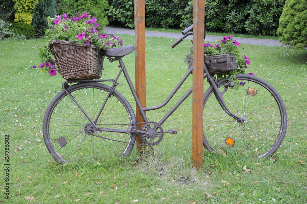 Fototapeta premium Fahrrad mit Blumenschmuck