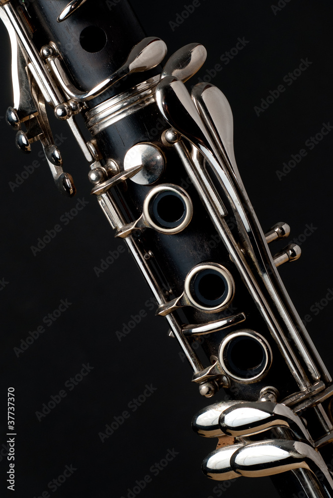 Obraz premium clarinete