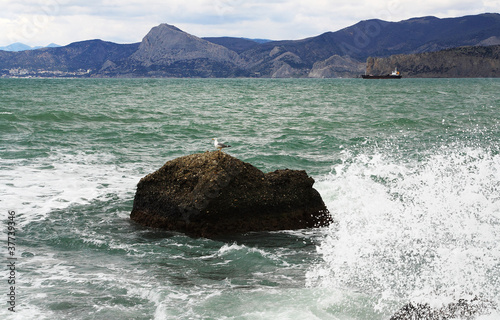 Spray the surf. Photo 4598