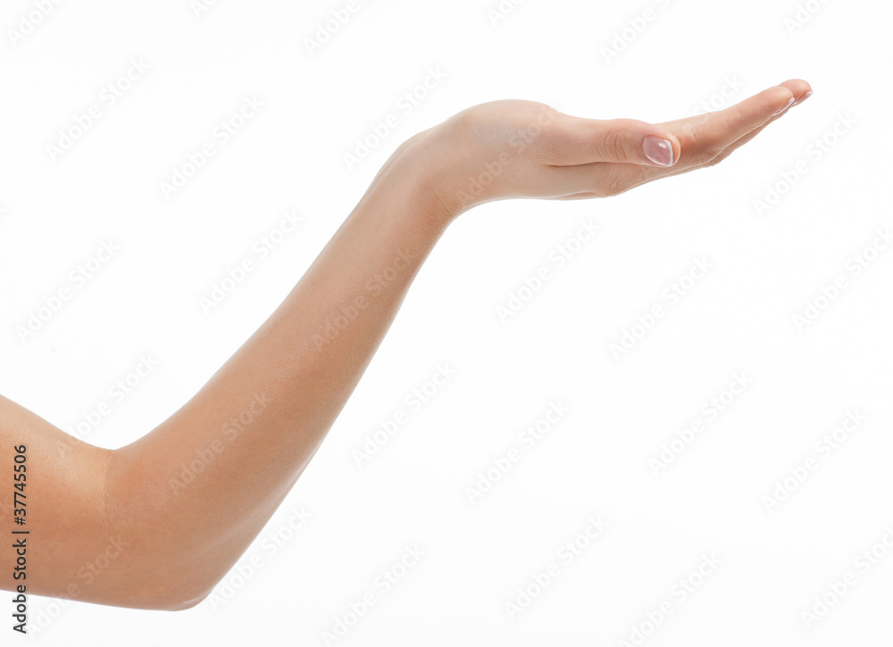 Female empty open hand isolated on white background Female empty open hand isolated on white background