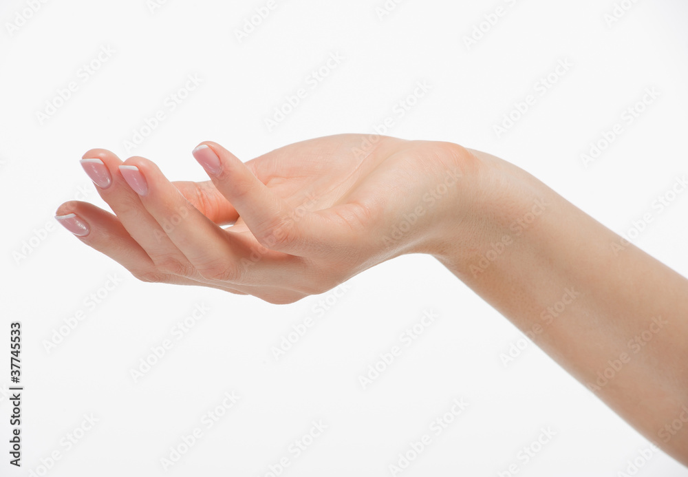 Female empty open hand isolated on white background