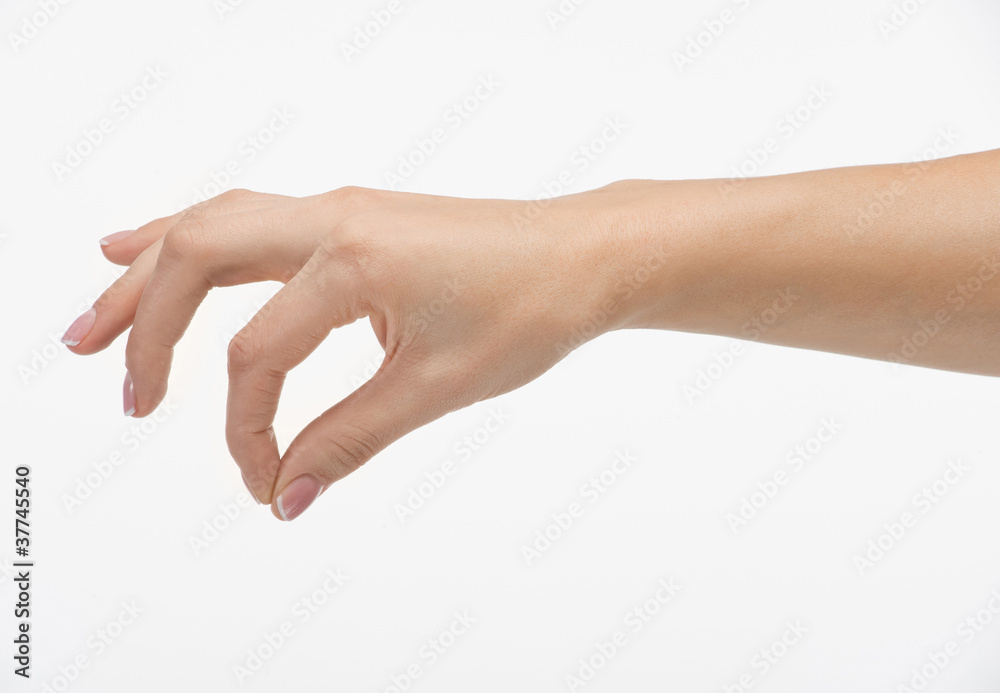 female hand holds, picking, isolated on white background female hand holds, picking, isolated on white background