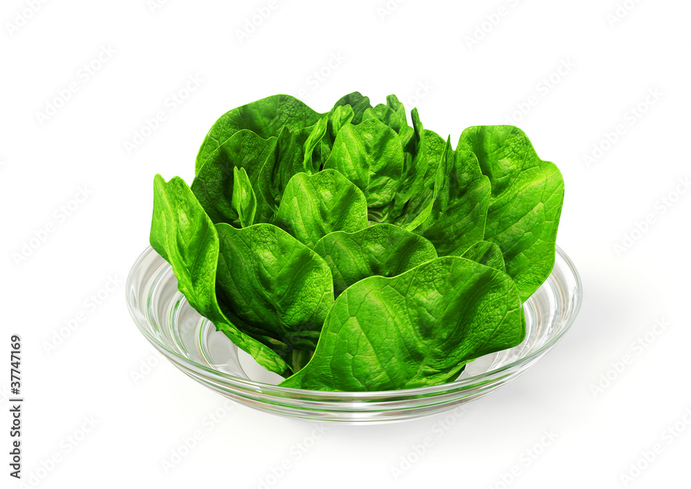 cabbage cabbage