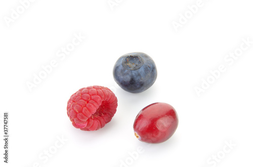 mixed berries on white