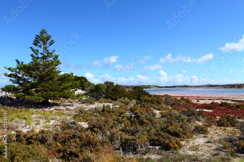 Rottnest island in Australia photo