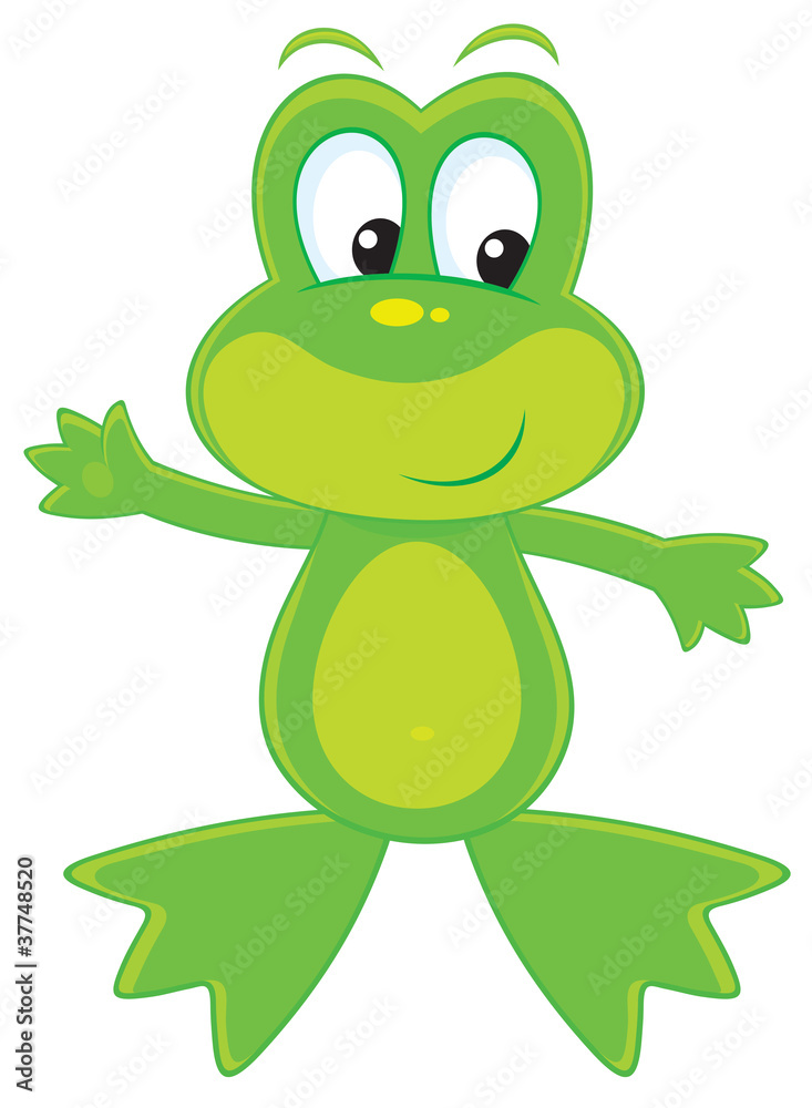 Fototapeta premium Green frog