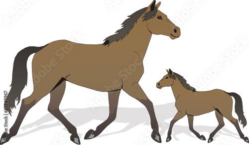 horse and baby