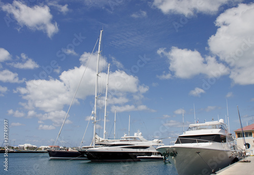 Massive Blue and White Yachts at Tropical Marina © dbvirago