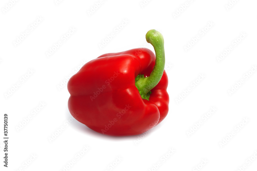 Pepper Pepper