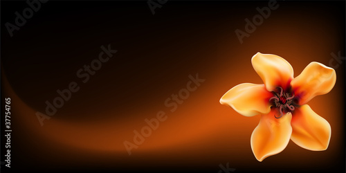 Realistic yellow tropical flower on dark background