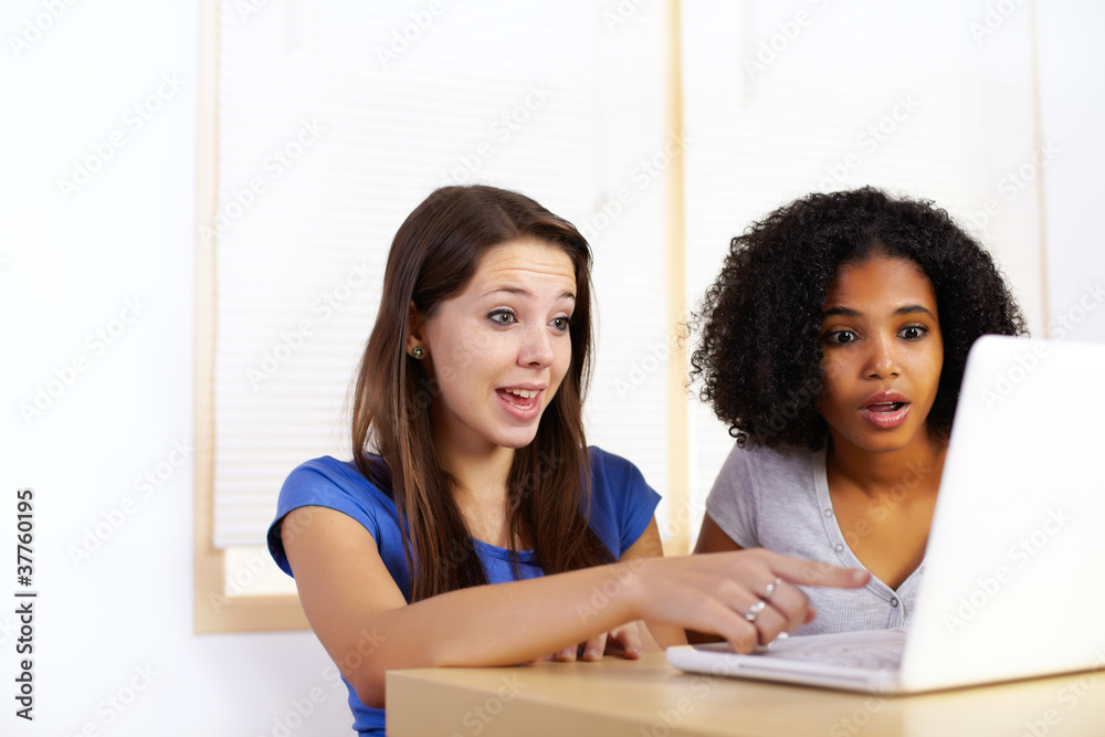 Girls using a laptop Girls using a laptop