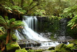 Gorgeous Russel Falls in Tasmania, Australia.