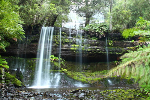 Gorgeous Russel Falls in Tasmania  Australia.