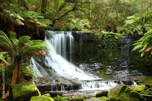 Gorgeous Russel Falls in Tasmania  Australia.