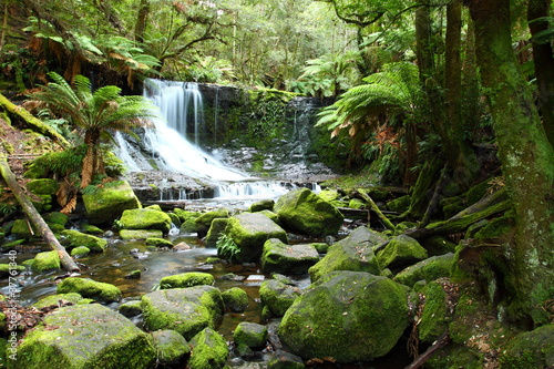 Fotografi Gorgeous Russel Falls in Tasmania, Australia.