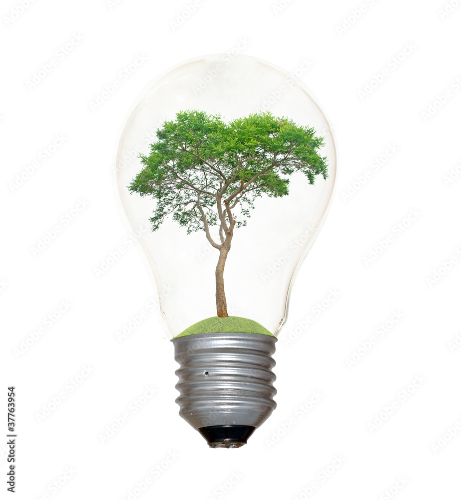 Incandescent light bulb with a tree as the filament