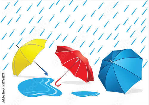 Umbrellas in the Rain
