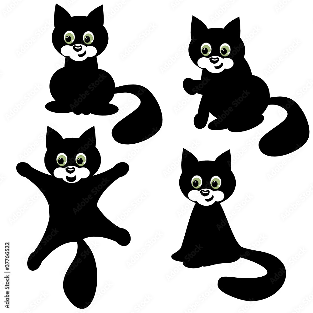 four cats on white background