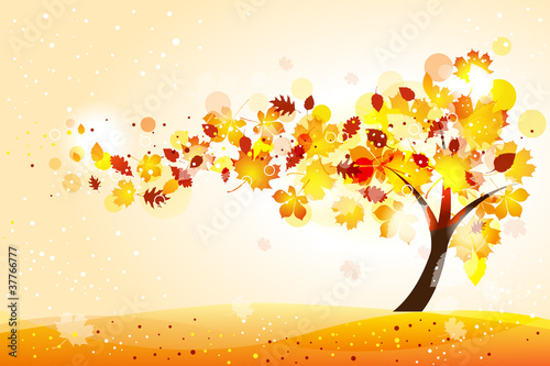 Autumn tree