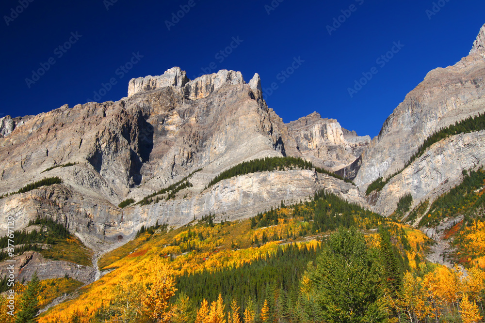 Fototapeta premium Fall Foliage in Banff Park