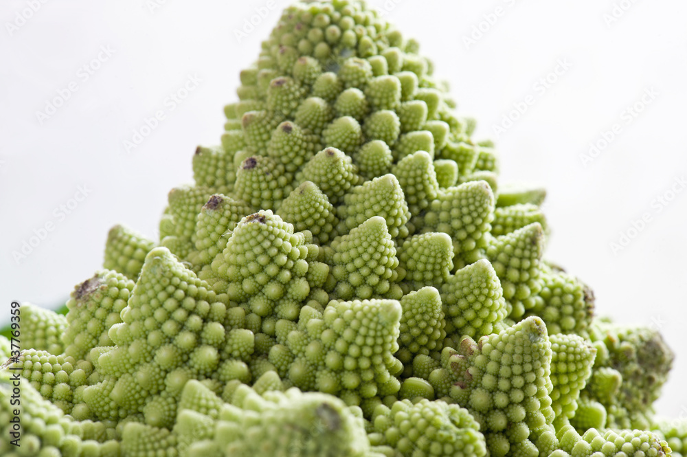 Closeup of Brassica oleracea, called romanesco broccoli,on white Closeup of Brassica oleracea, called romanesco broccoli,on white