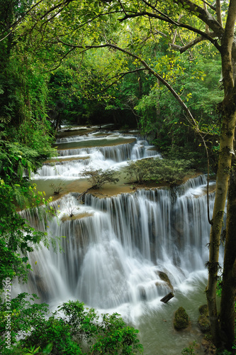 Rain forest waterfall