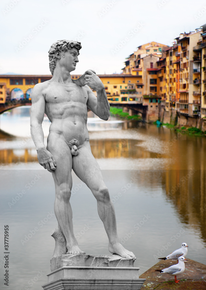 Fototapeta premium Florence, Italy