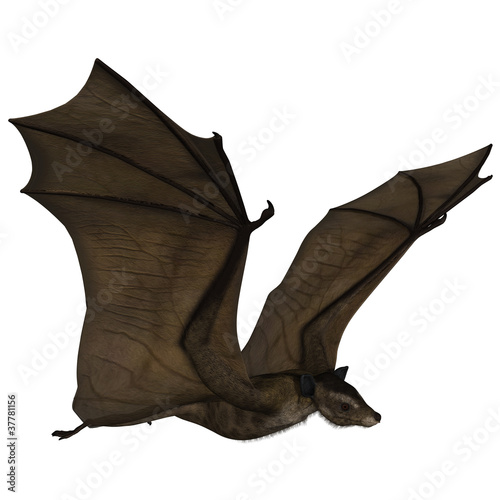 Icaronycteris - 3D Dinosaurier