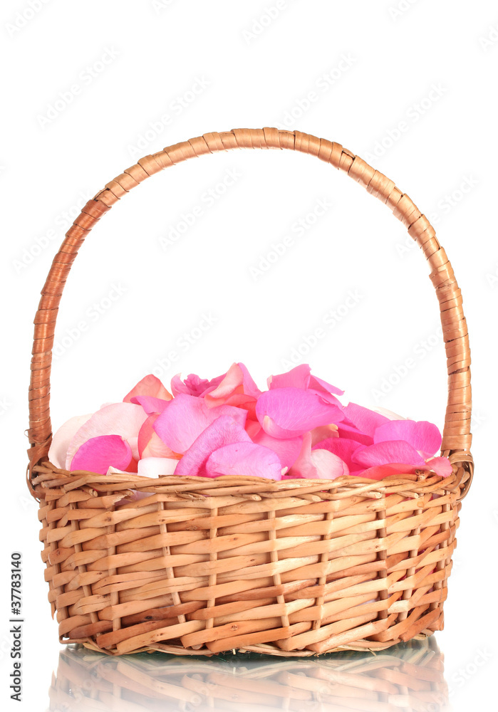 beautiful pink rose petals in basket isolated on white beautiful pink rose petals in basket isolated on white